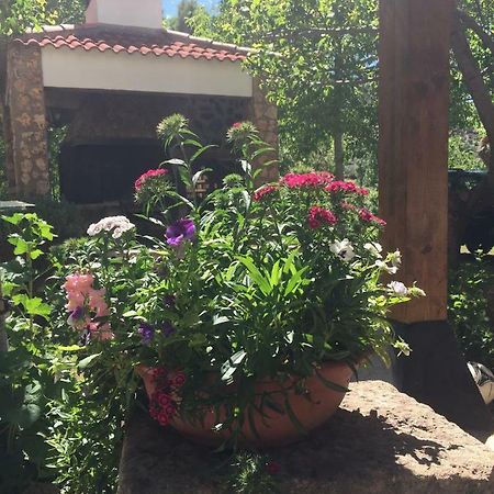 Casas Rurales La Huerta Hotel Salobre  ภายนอก รูปภาพ
