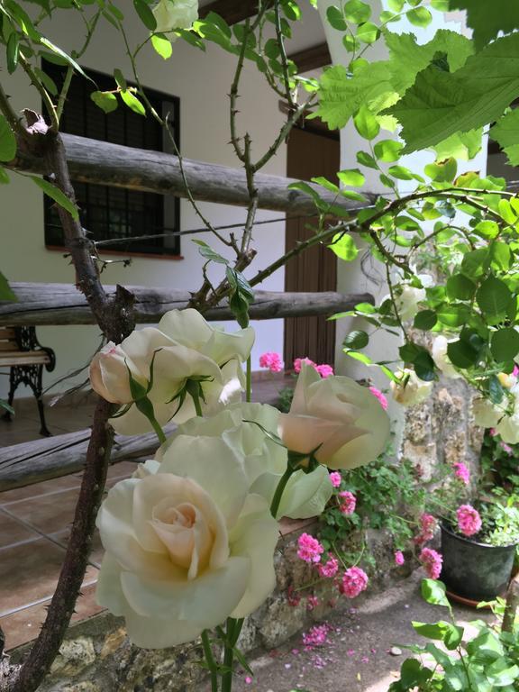 Casas Rurales La Huerta Hotel Salobre  ภายนอก รูปภาพ